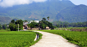 La voie sinueuse entre les rizières dans la vallée de Mai Chau