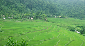 Village Hieu Pu Luong