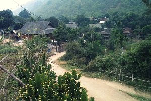 Village Van - Mai Chau