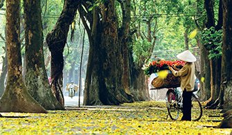 Automne de Hanoi