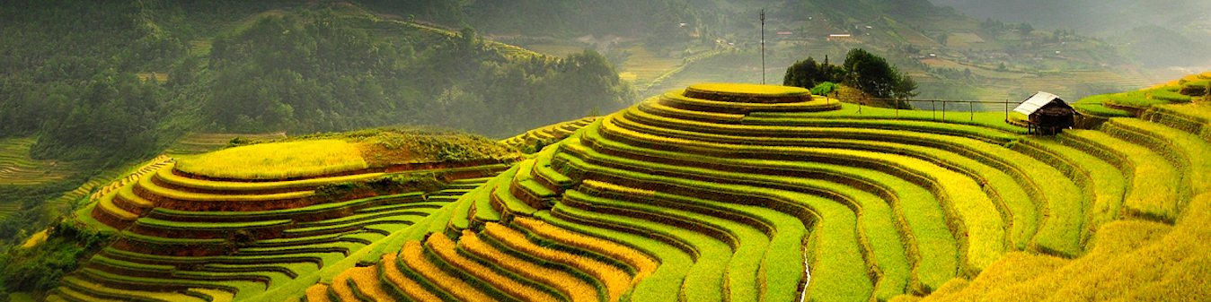 Rizières en terrase multicolore à Mu Cang Chai - 15 jours  Nord du Vietnam