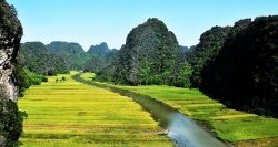 Tam Coc Ninh Binh