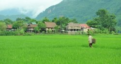 Maisons sur pilotis à Mai Chau