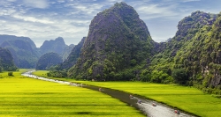 Les rizières à Ninh Binh