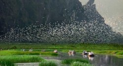 Van Long Ninh Binh