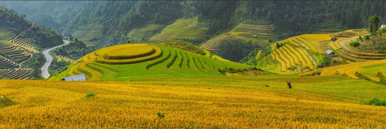 Savoir pour voyager au Vietnam