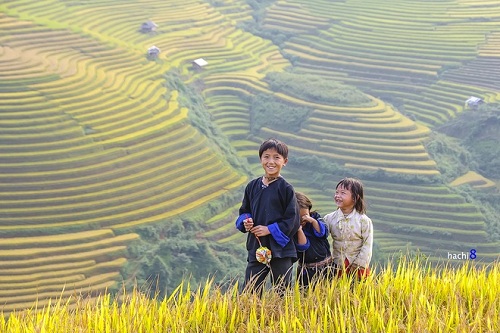 Le rire des enfants à Mu Cang Chai en saison du riz mûr