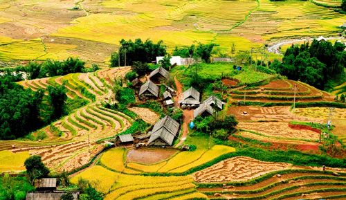 village lao chai à sapa - agence de voyage locale far east tour