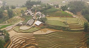 Sapa