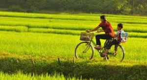 Vie locale à Mai Chau