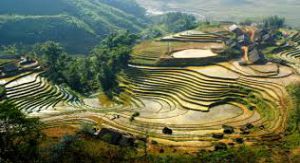 Vallée de Muong Hoa - Sapa