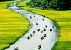 Croisière à Tam Coc