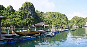 Village des pecheurs en Baie d'Halong