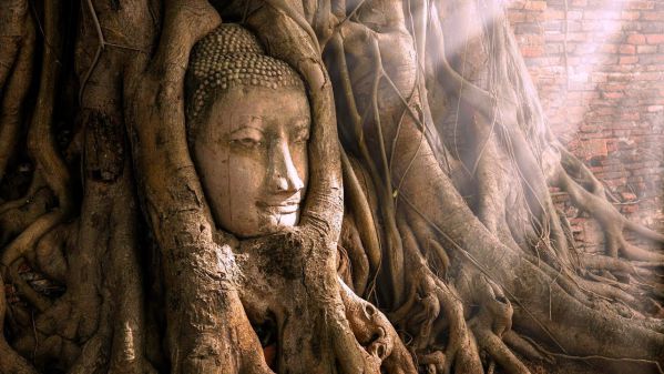 Visite des temples d’Ayutthaya