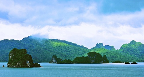 bai de Bai Tu Long
