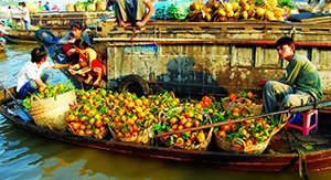 Barque de fruits au marché flottant de Cai Rang
