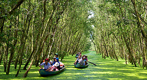 Forêt de cajeputiers Tra Su