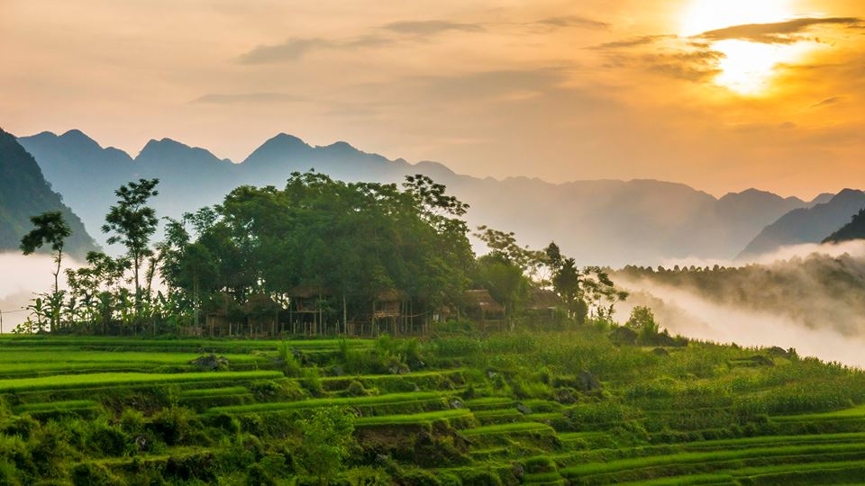 la réserve naturelle de Pu Luong