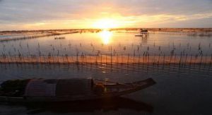 Lagune Dam Chuon - Tam Giang