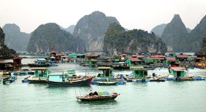 Les maisons flottantes au village de Vung Vieng