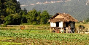 Mai Chau