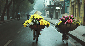 Les marchands à vélo de fleurs à Hanoi
