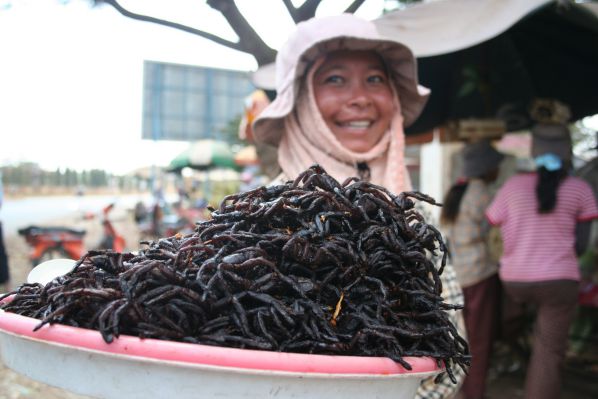 Marché des insectes à Skun