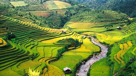 Vallée de Mu Cang Chai