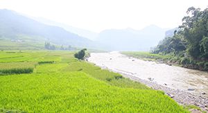 Nghia Lo