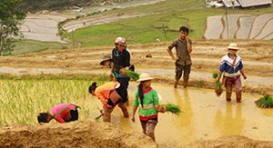 Sapa – Bac Ha