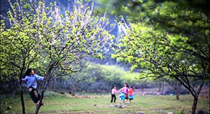 les enfants d'ethnie minoritaire à Son La