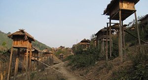 trekking au village de  Luang Namtha