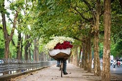 Vendeuse de fleurs à Hanoi