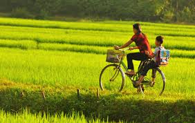 Vie locale - Mai Chau