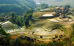 Village de Lao Chai