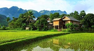 Village Pom Coong
