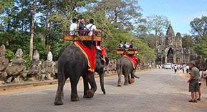 Balade en dos des éléphants à Siem Reap