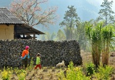 CIRCUIT HA GIANG, BAO LAC, BA BE, BAIE TU LONG 8 JOURS