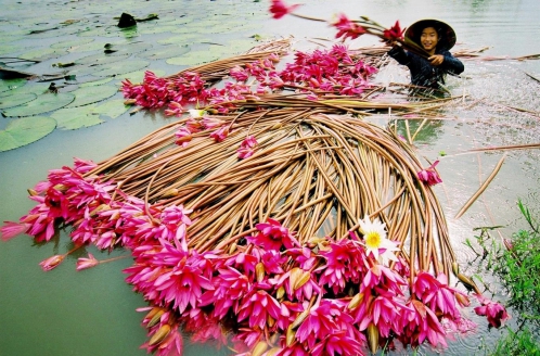 Les couleurs du Vietnam 15 jours