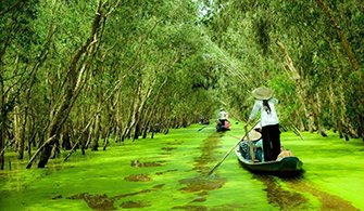 Croisière dans la forêt de cajeputiers Tra Su