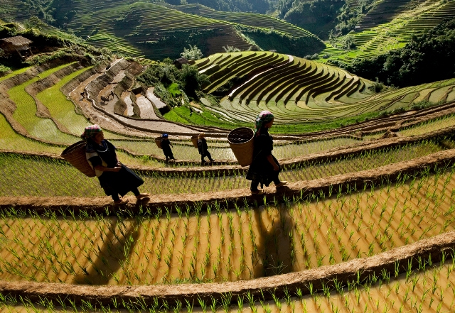 CIRCUIT 5 JOURS HANOI MU CANG CHAI