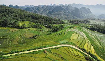 Trekking à la réserve naturelle pu luong