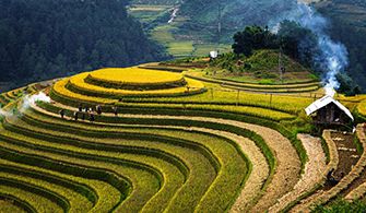 Mu Cang Chai