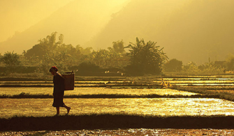 Voyage Vietnam en famille 13 jours  Nature Culture Plage