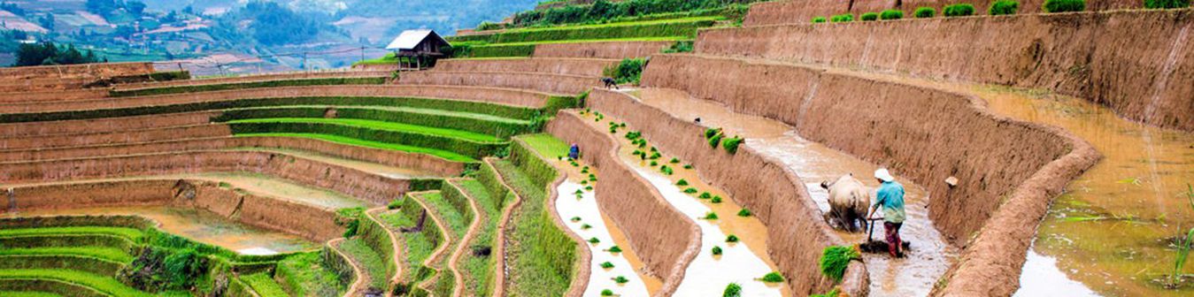 carte circuit vietnam 20 jours