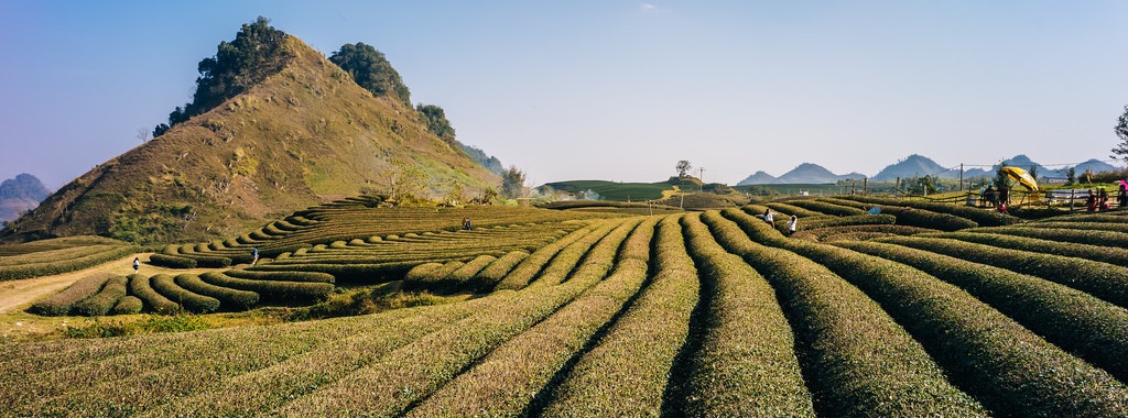 VOYAGE VIETNAM 18 JOURS – LES MEILLEURS DU VIETNAM