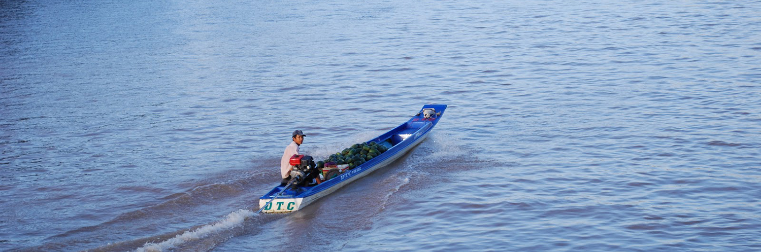 Bateau à moteur sur le mékong