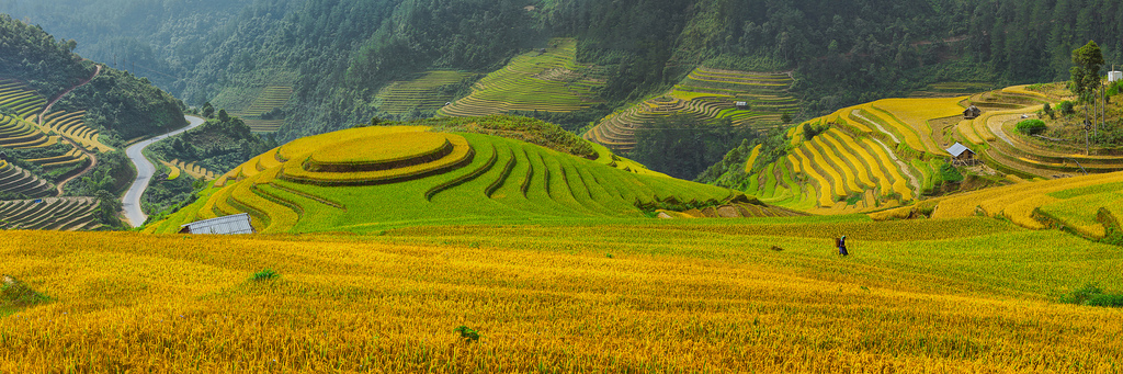 CIRCUIT VIETNAM NORD EN 10 JOURS