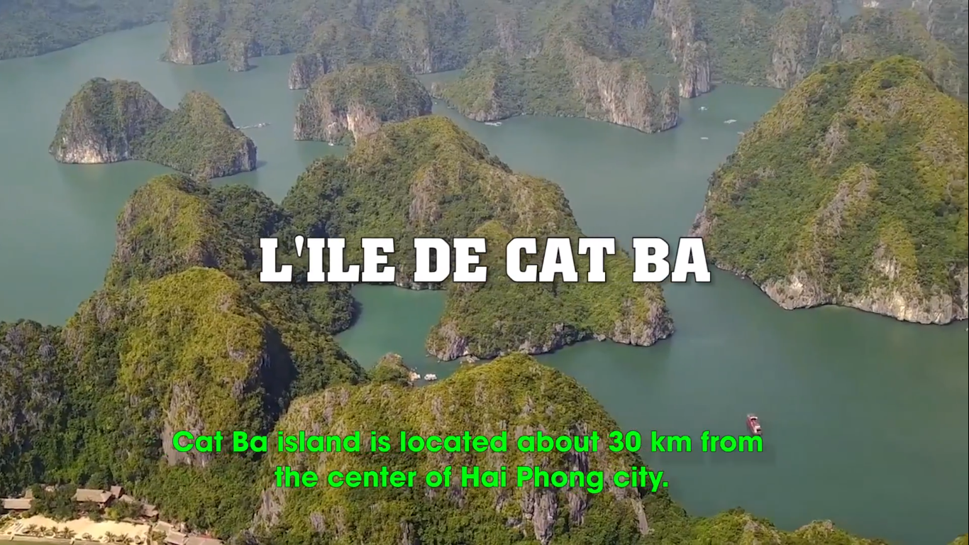 LîLE DE CAT BA LA DESTINATION DES EXPÉRIENCES INTÉRESSANTES