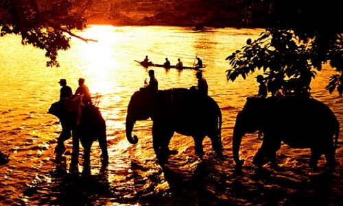 Balade à dos d’éléphant à travers la rivière à Buon Me Thuot